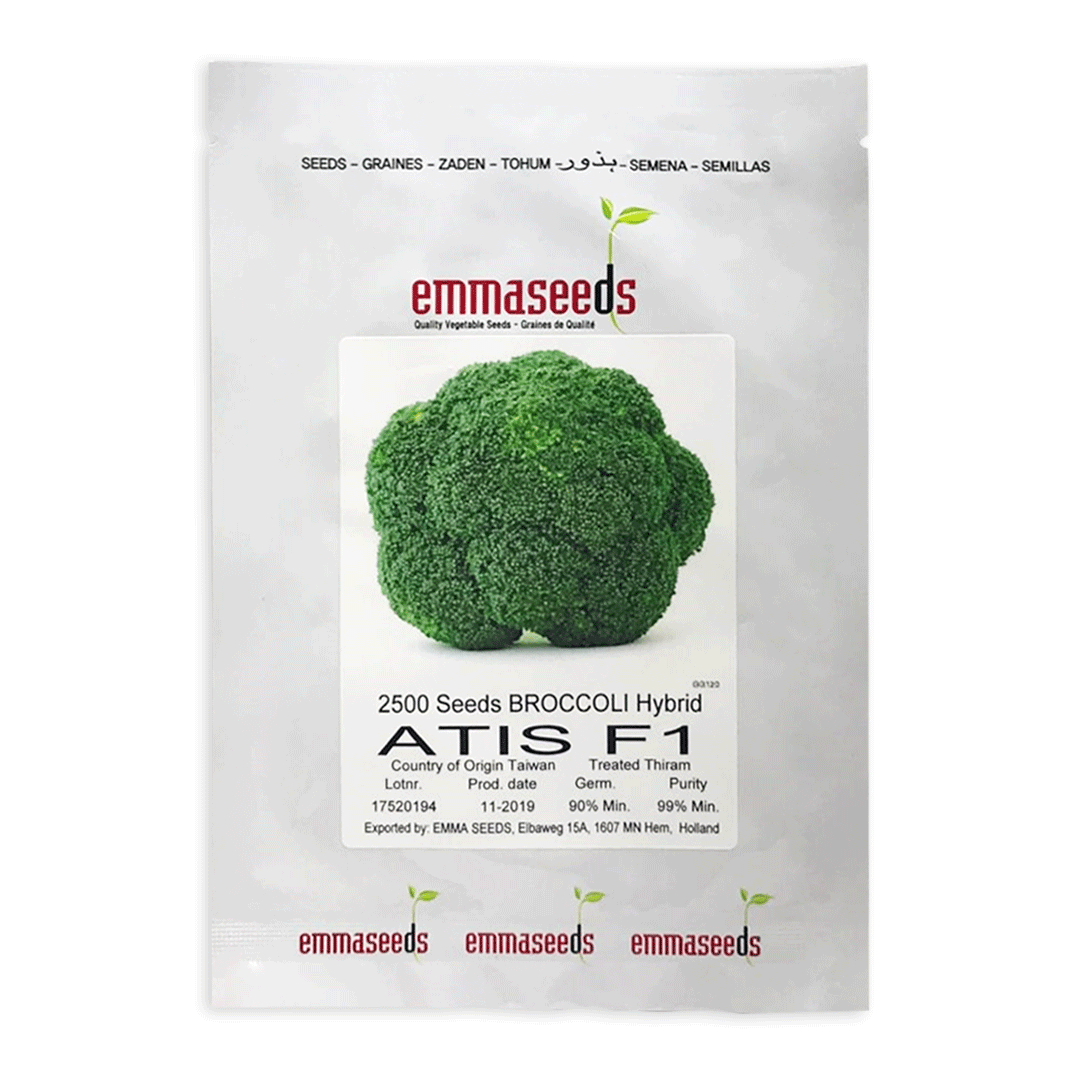 Atis-Website.gif بذر کلم بروکلی هیبرید آتیس - Image 1