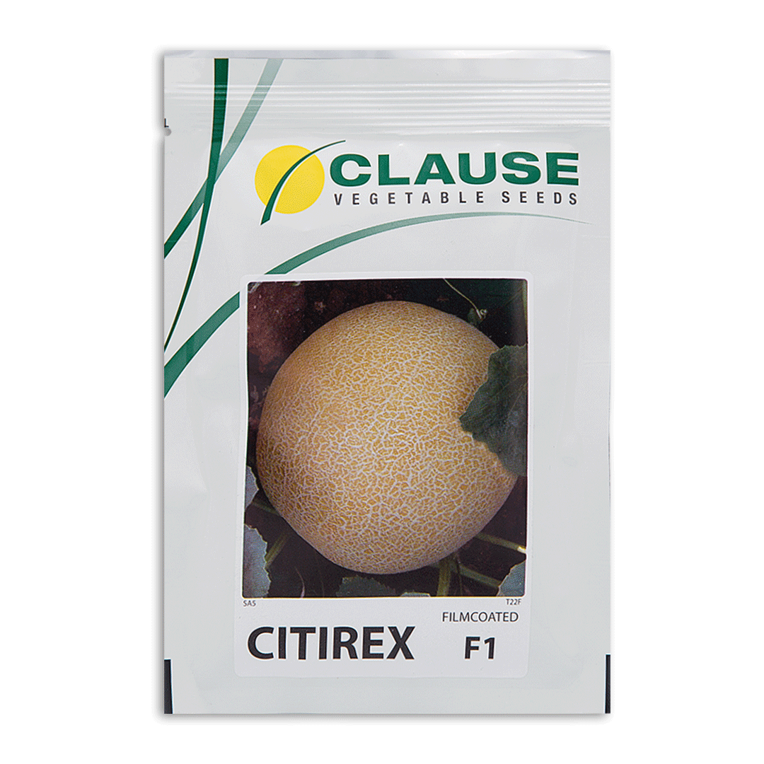 Citirex-Website.gif بذر ملون هیبرید سیتیرِکس - Image 1