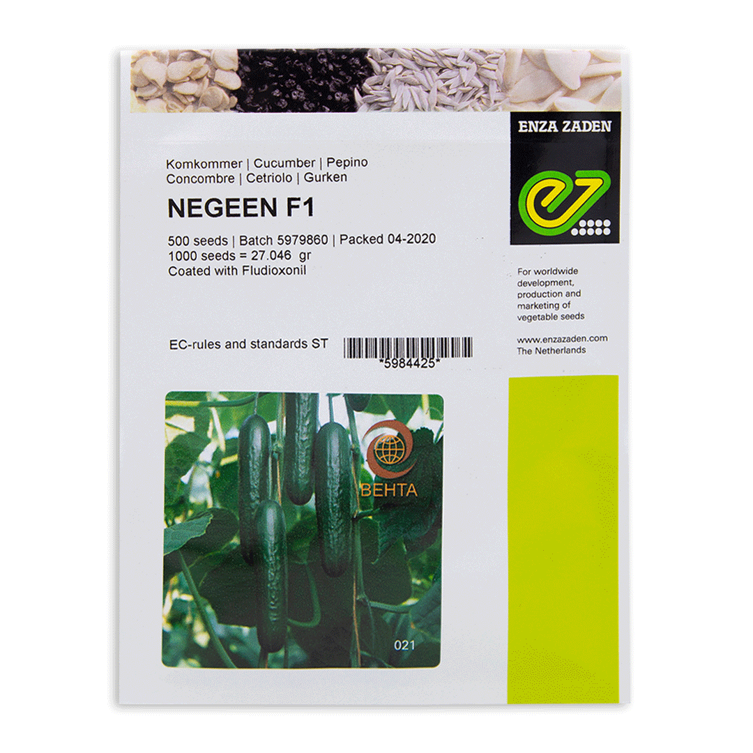 Negeen-Website-1.gif بذر خیار گلخانه ای هیبرید نگین - Image 1